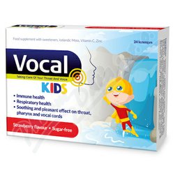 Vocal Kids měkké pastilky s příchutí Jahody 24ks Vocal Kids měkké pastilky s příchutí Jahody 24ks